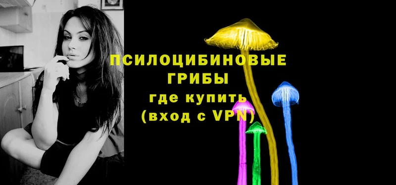 Псилоцибиновые грибы Magic Shrooms  Балей 